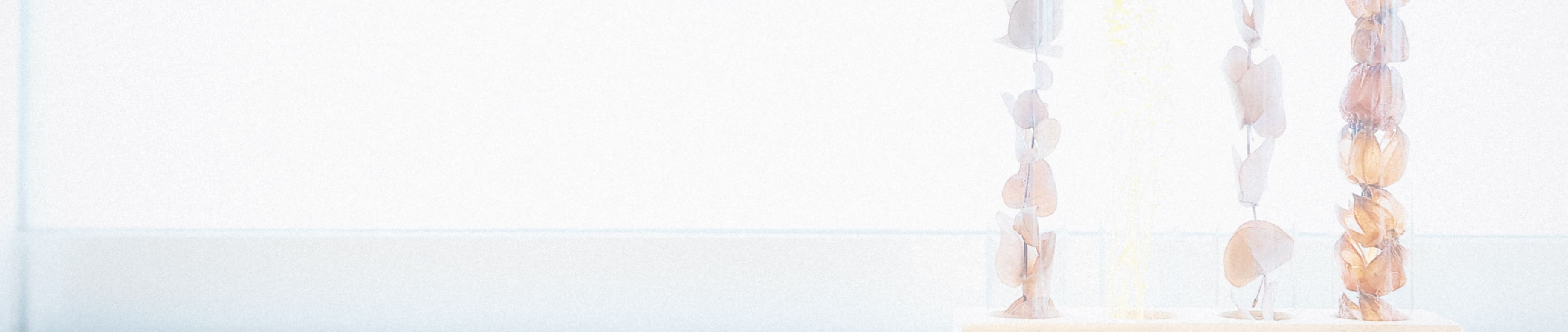 さくらＣＡＭＰの窓